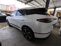 بي واي دي سيليون 06 DM-i